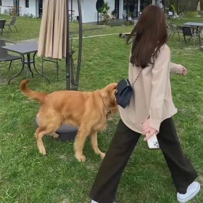 一弦定音!第二季